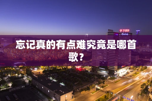 忘记真的有点难究竟是哪首歌？
