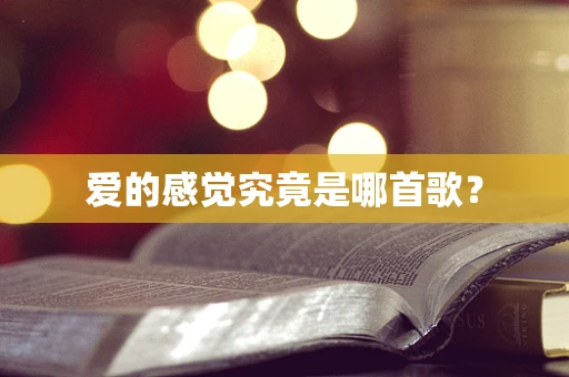 爱的感觉究竟是哪首歌？