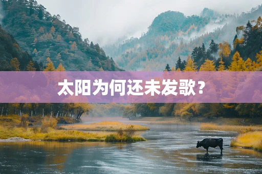 太阳为何还未发歌？