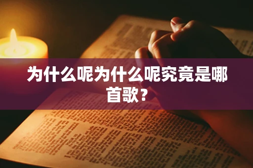 为什么呢为什么呢究竟是哪首歌？