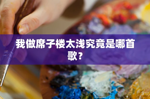 我做席子楼太浅究竟是哪首歌？