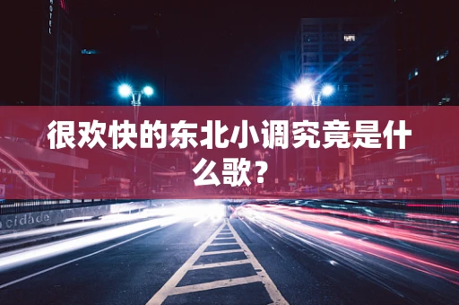 很欢快的东北小调究竟是什么歌？
