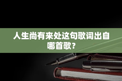 人生尚有来处这句歌词出自哪首歌？