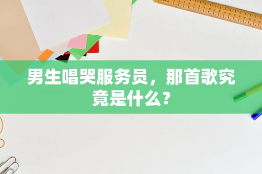 男生唱哭服务员，那首歌究竟是什么？