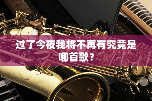 过了今夜我将不再有究竟是哪首歌？