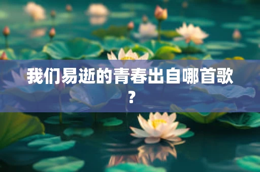 我们易逝的青春出自哪首歌？