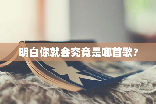 明白你就会究竟是哪首歌？