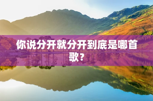 你说分开就分开到底是哪首歌？