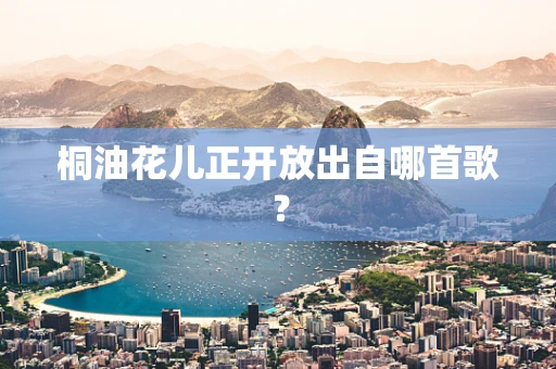 桐油花儿正开放出自哪首歌？