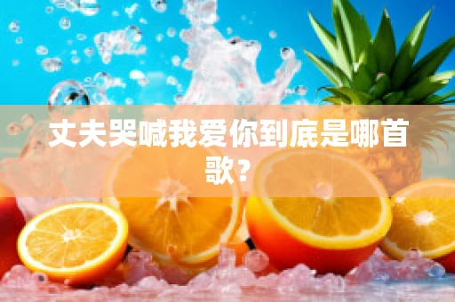 丈夫哭喊我爱你到底是哪首歌？