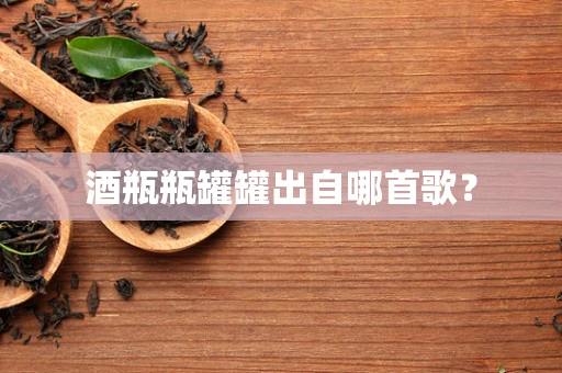 酒瓶瓶罐罐出自哪首歌？