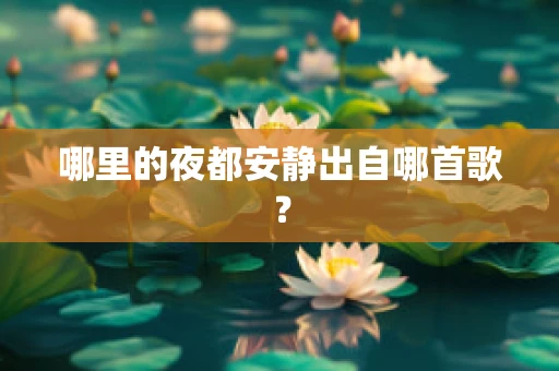 哪里的夜都安静出自哪首歌？