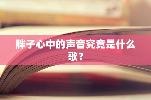 胖子心中的声音究竟是什么歌？