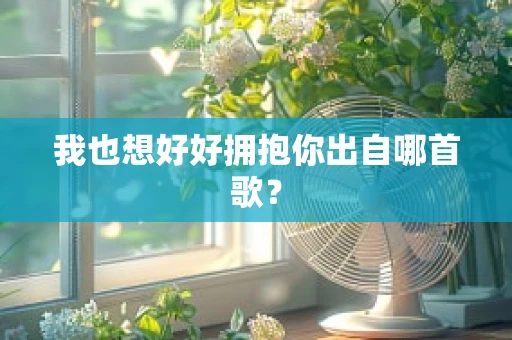 我也想好好拥抱你出自哪首歌？