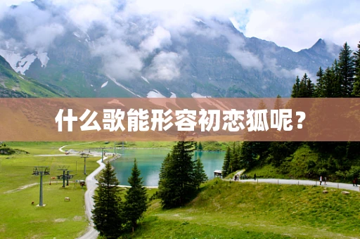什么歌能形容初恋狐呢？
