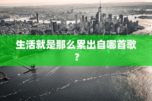 生活就是那么累出自哪首歌？
