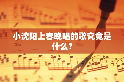 小沈阳上春晚唱的歌究竟是什么？