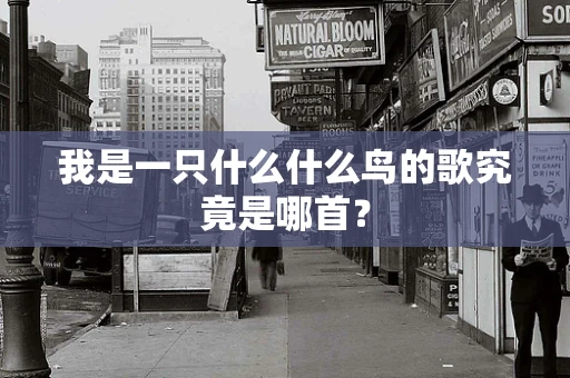 我是一只什么什么鸟的歌究竟是哪首？