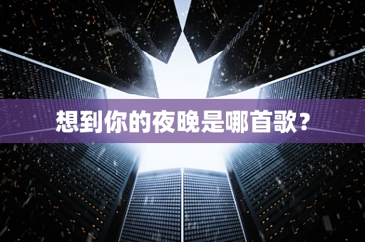 想到你的夜晚是哪首歌？