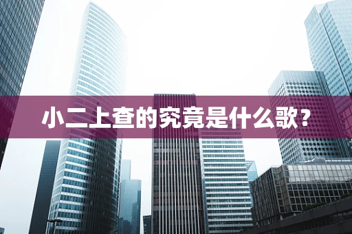小二上查的究竟是什么歌？