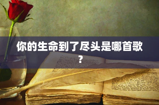你的生命到了尽头是哪首歌？