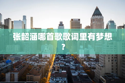 张韶涵哪首歌歌词里有梦想？