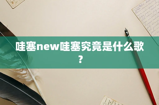 哇塞new哇塞究竟是什么歌？