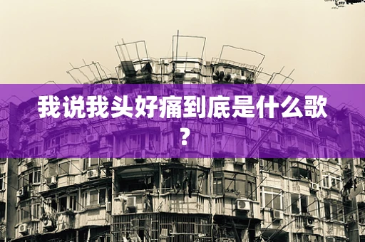 我说我头好痛到底是什么歌？