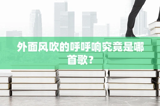 外面风吹的呼呼响究竟是哪首歌？