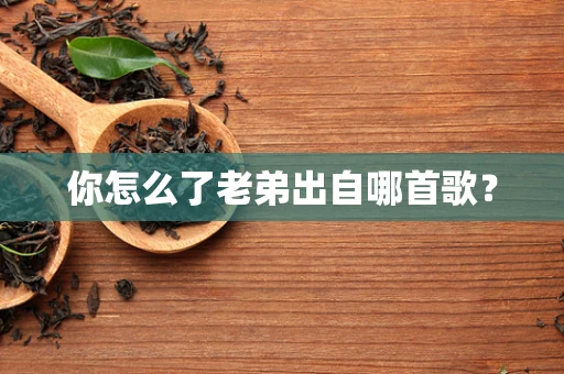 你怎么了老弟出自哪首歌？
