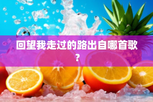 回望我走过的路出自哪首歌？