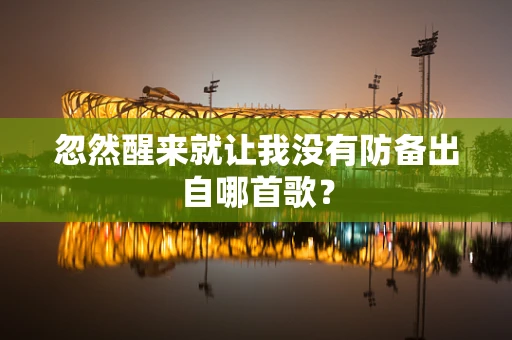 忽然醒来就让我没有防备出自哪首歌？