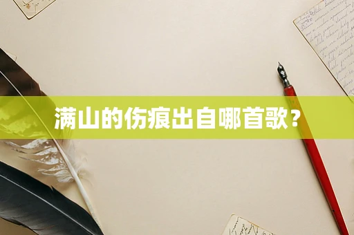满山的伤痕出自哪首歌？