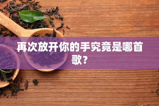 再次放开你的手究竟是哪首歌？
