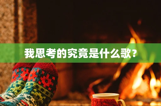 我思考的究竟是什么歌？