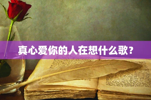 真心爱你的人在想什么歌？