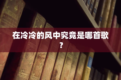 在冷冷的风中究竟是哪首歌？