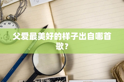 父爱最美好的样子出自哪首歌？