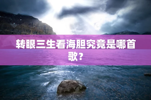 转眼三生看海胆究竟是哪首歌？
