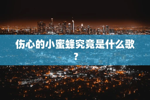 伤心的小蜜蜂究竟是什么歌？