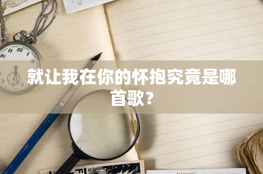 就让我在你的怀抱究竟是哪首歌？