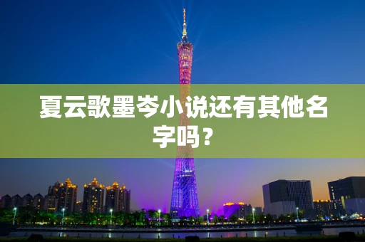 夏云歌墨岑小说还有其他名字吗？