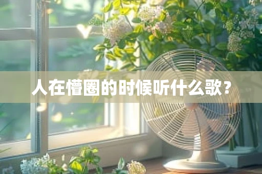 人在懵圈的时候听什么歌？