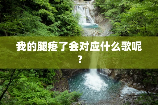 我的腿疼了会对应什么歌呢？