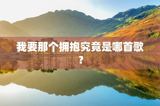 我要那个拥抱究竟是哪首歌？