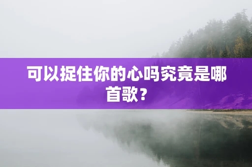 可以捉住你的心吗究竟是哪首歌？