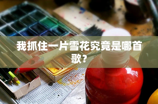 我抓住一片雪花究竟是哪首歌？