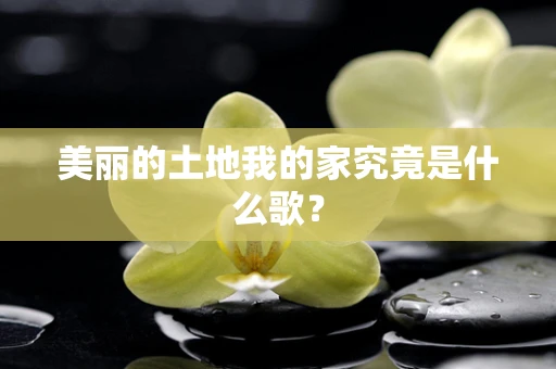 美丽的土地我的家究竟是什么歌？