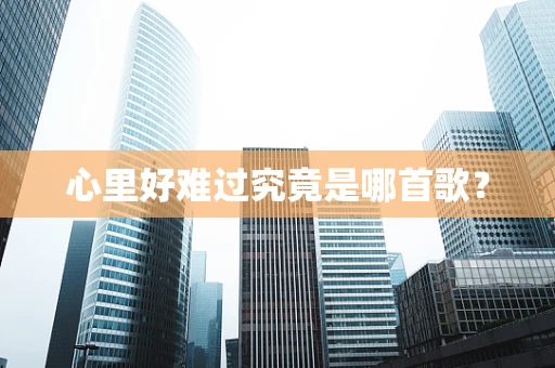 心里好难过究竟是哪首歌？