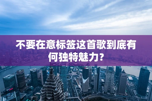 不要在意标签这首歌到底有何独特魅力？